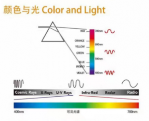 光與顏色：自然界萬物的視覺基礎(chǔ)